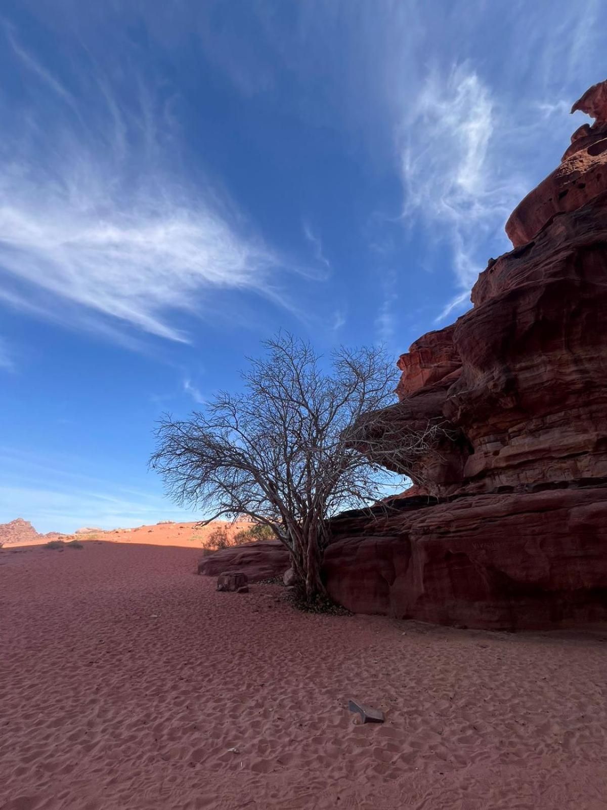 Desert Rock Camp 瓦迪拉姆 外观 照片